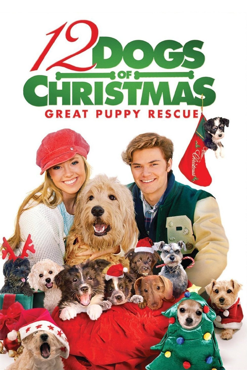 Poster for the movie "12 Dogs of Christmas: Great Puppy Rescue"