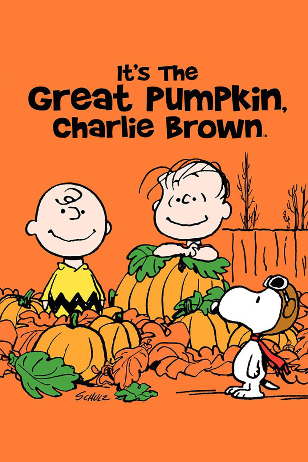 Poster for the movie "It's the Great Pumpkin, Charlie Brown"