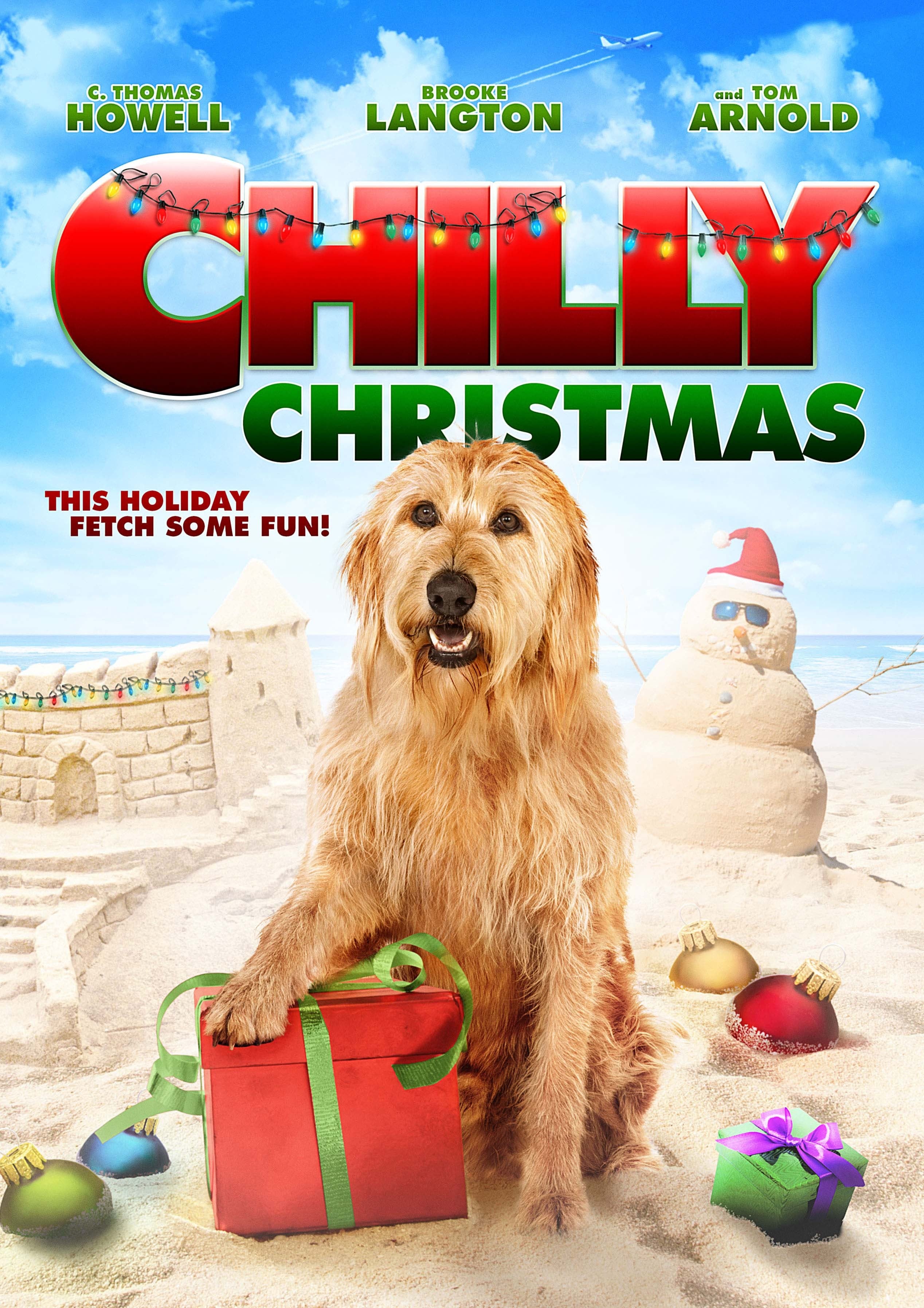 Poster for the movie "Chilly Christmas"