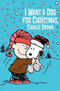 Poster for the movie "I Want a Dog for Christmas, Charlie Brown"